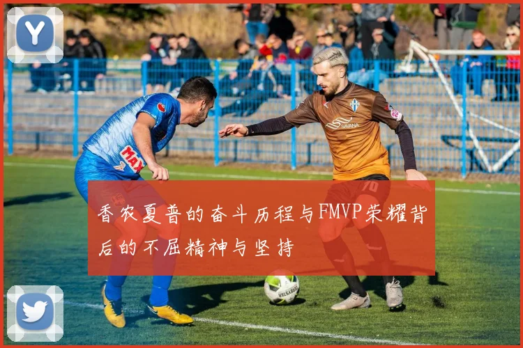香农夏普的奋斗历程与FMVP荣耀背后的不屈精神与坚持