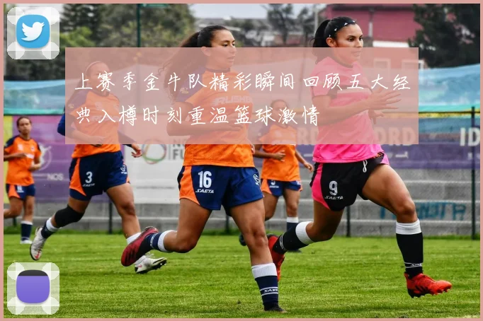 上赛季金牛队精彩瞬间回顾五大经典入樽时刻重温篮球激情