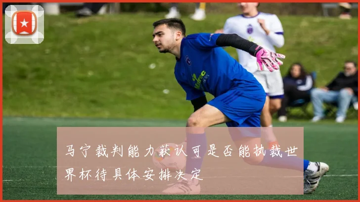 马宁裁判能力获认可是否能执裁世界杯待具体安排决定