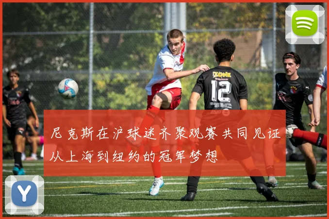 尼克斯在沪球迷齐聚观赛共同见证从上海到纽约的冠军梦想